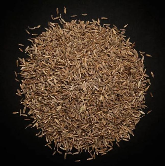 10kg wholesales Premium Natural High Quality Fennel Seeds Wholesale  ready for export to Europe and Asia