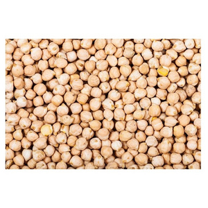 white chick pea beans natural organic desi chickpeas good quality chick pea desi beans