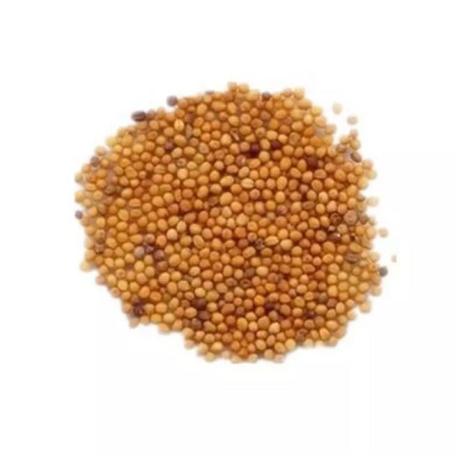 100% Natural Grain South Indian Food Made Mustard Seeds Quality Assured Mustard Seeds Supplier  from Asia and Europe