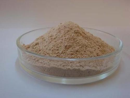 Natural Organic Bio Sunflower Lecithin Emulsifier E47 Sunflower Lecithin Powder