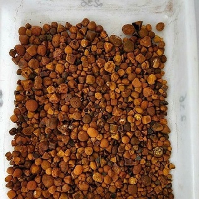 Quality Dried Cow Ox Gallstones / Cattle gallstones for sale