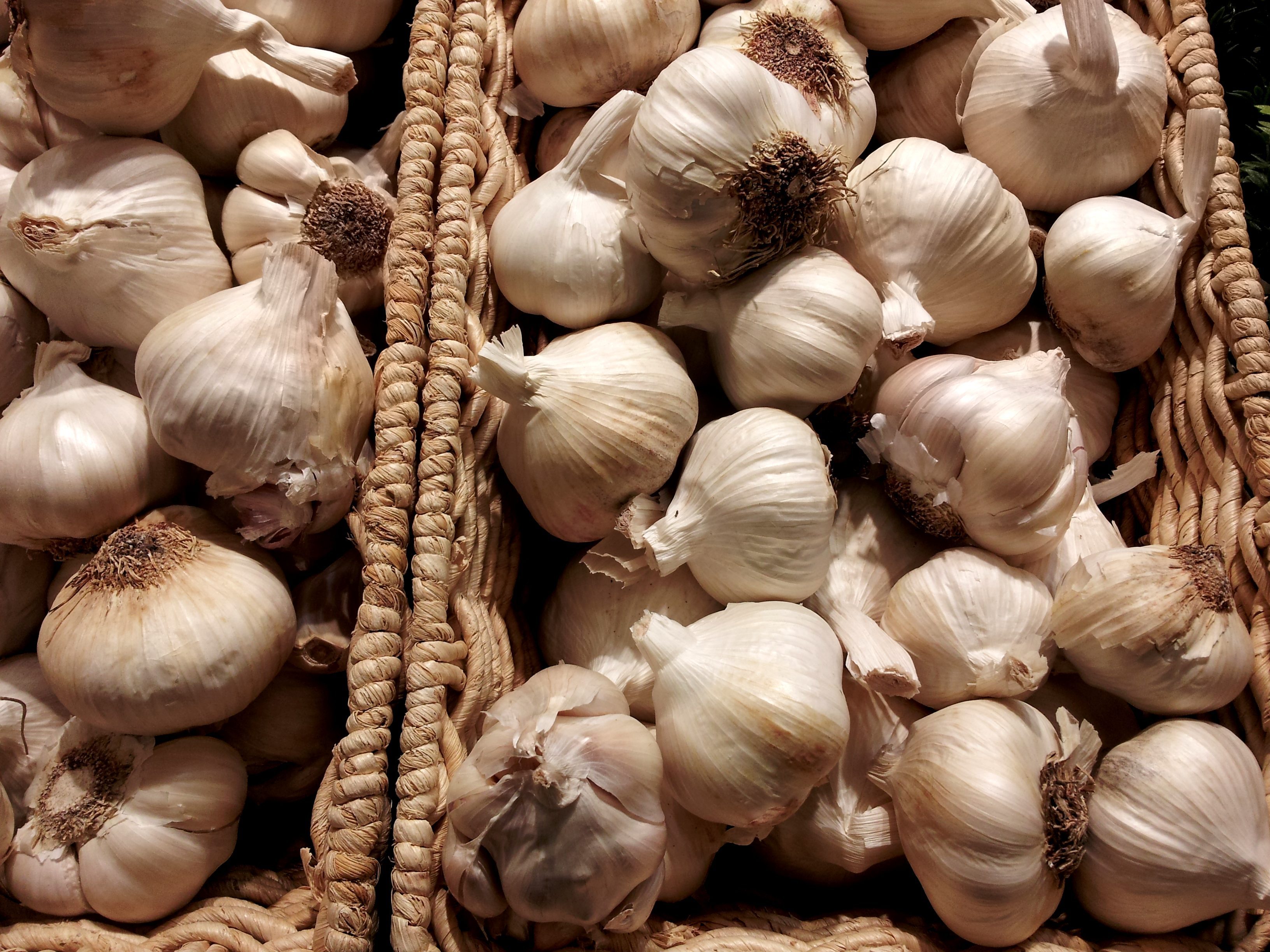 Natural Low Price Fresh garlic Wholesale Chinese garlic