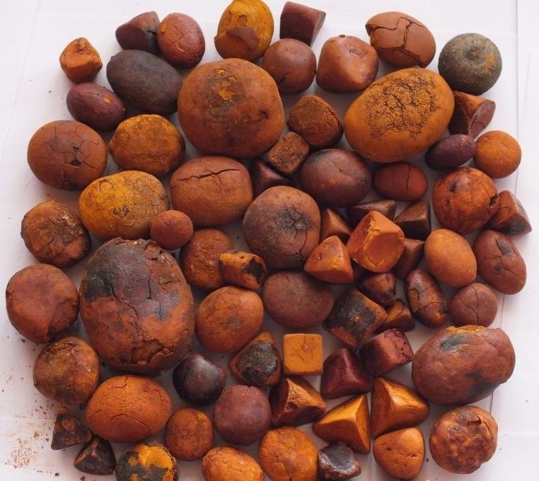 Quality Dried Cow Ox Gallstones / Cattle gallstones for sale