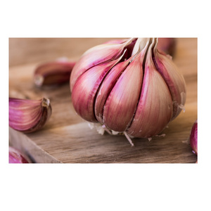 Fresh garlic Chinese China Fresh Normal red pealed Fresh Garlic