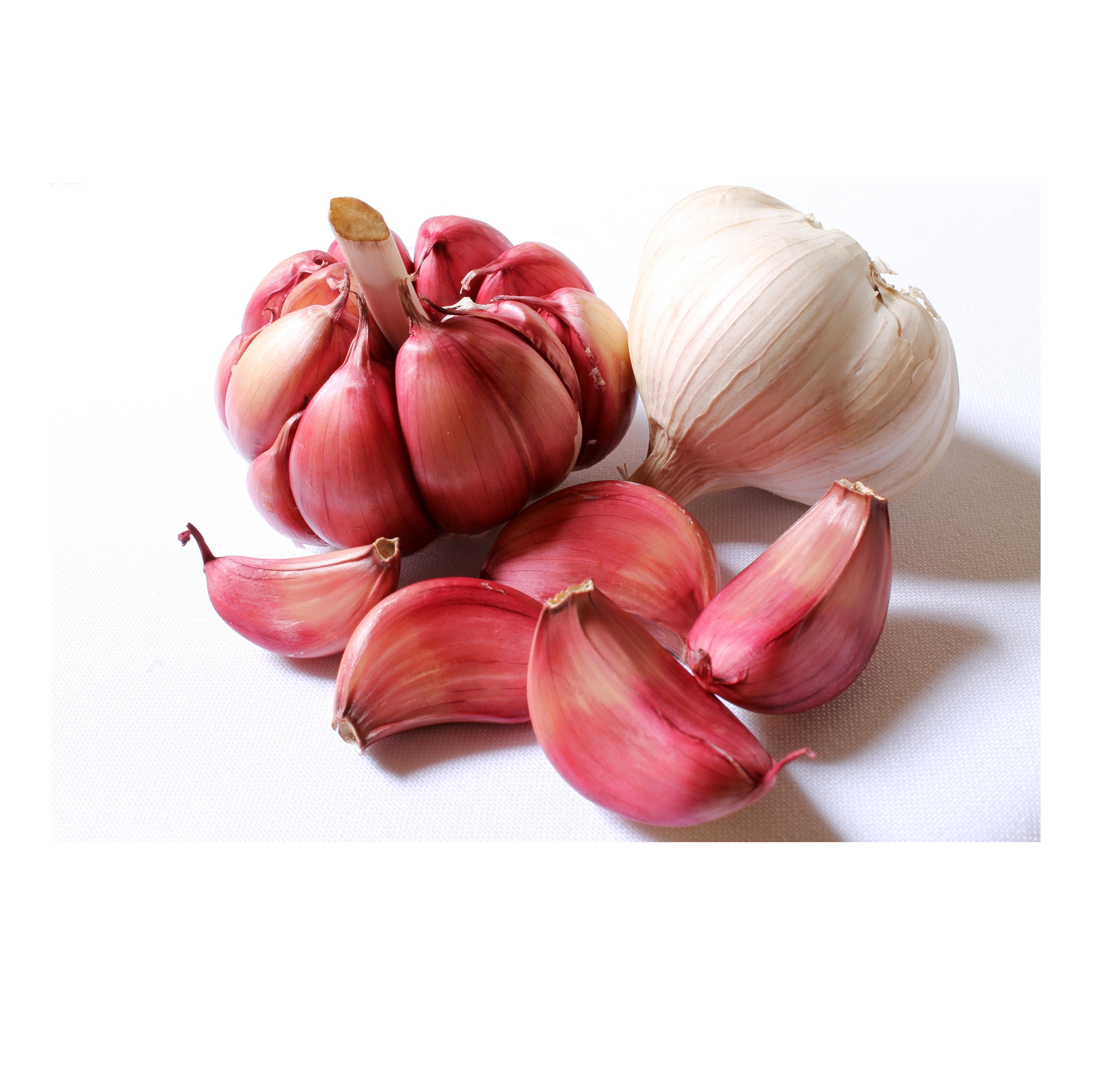 Fresh garlic Chinese China Fresh Normal red pealed Fresh Garlic