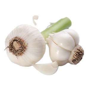 Natural Low Price Fresh garlic Wholesale Chinese garlic