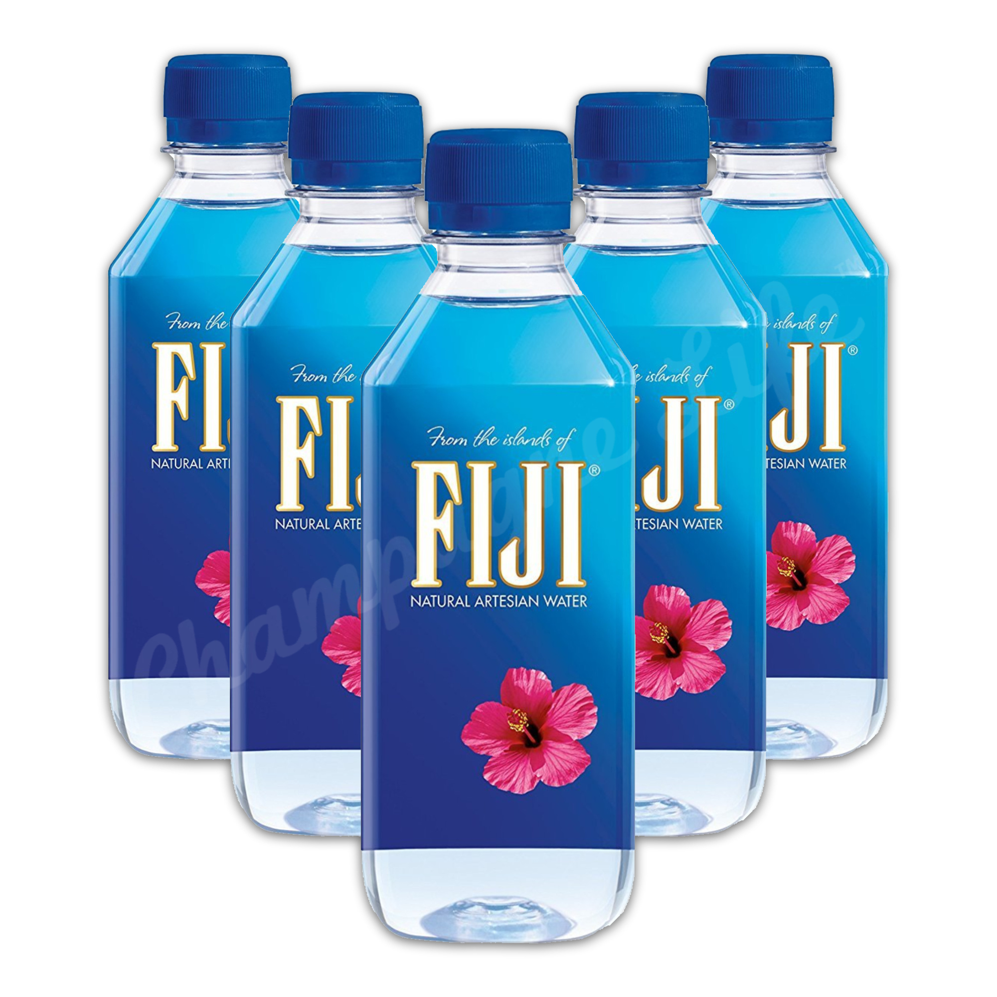 Fiji Natural Artesian Water 24 x 500 ml