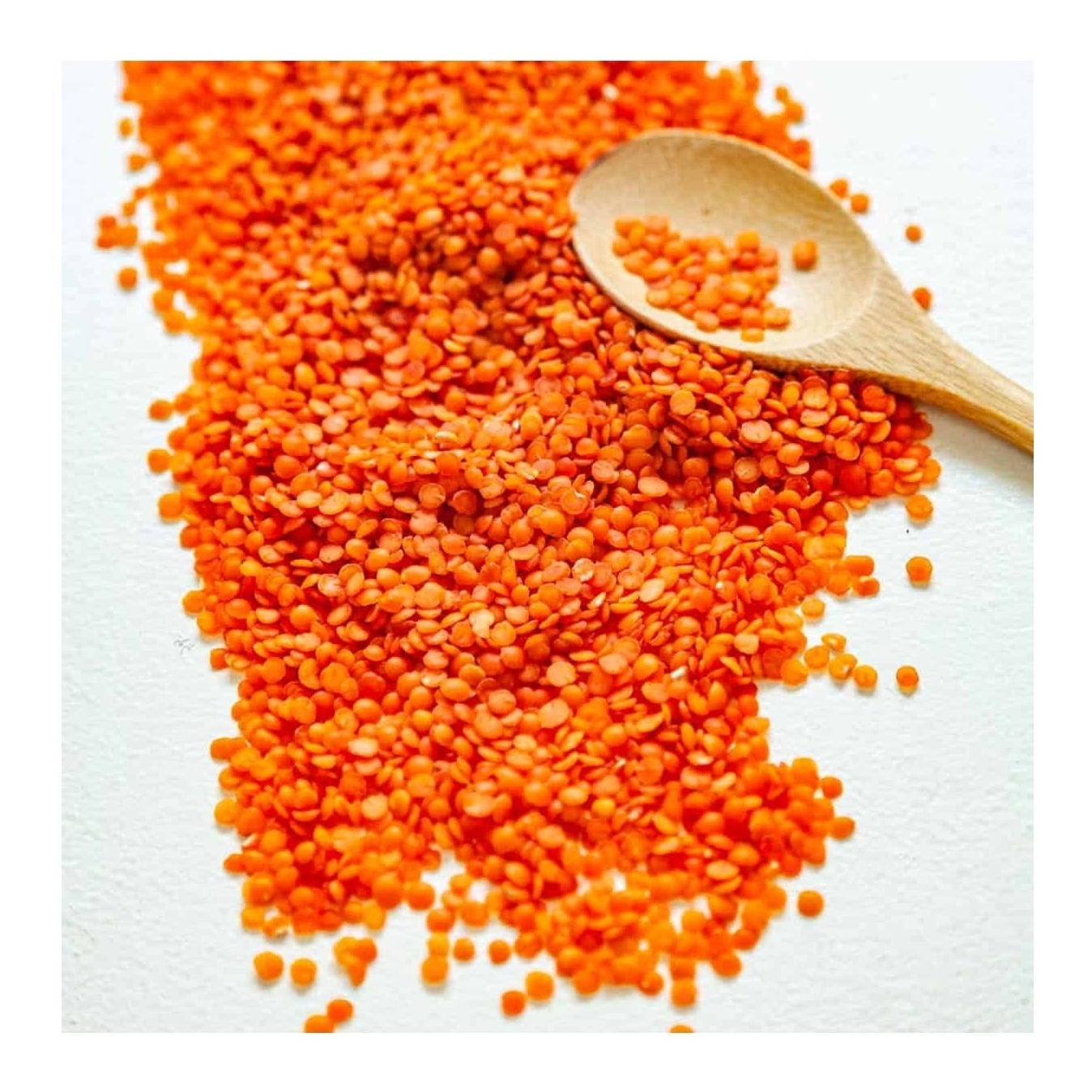 Canadian Green Lentils Red Lentils Wholesale Gift Mason Bulk