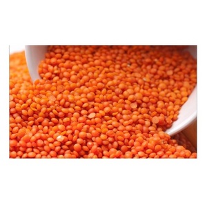 Wholesale Supplier Of Bulk Fresh Stock of Organic Canadian Red Lentils / Split Red Lentils