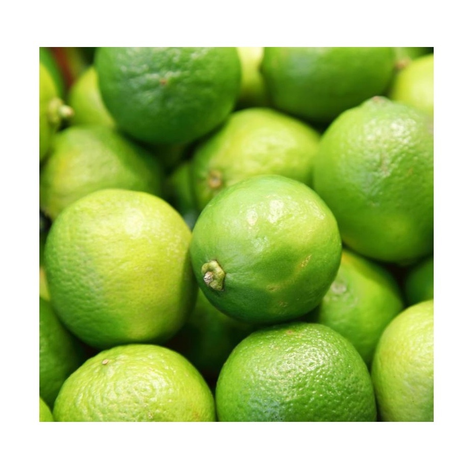 Best Price Fresh Fruits Green Limes Bulk Stock Available With Customized Packing