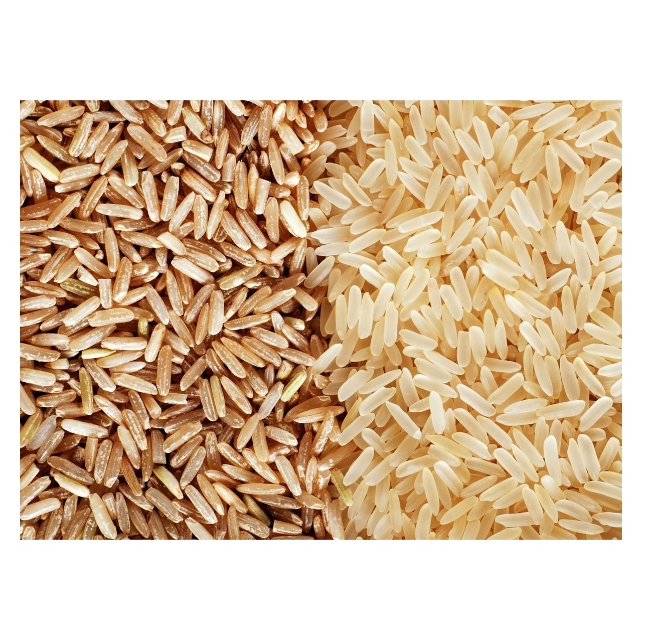 DELICIOUS AND NUTRITIOUS RICE FRAGRANT BROWN RICE FROM THAILAND FACTORY