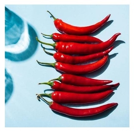 High Quality Supplier Low Price Hot Pepper Cayenne Pepper Red Chilli Dried Red Pepper For Chinese Food