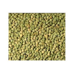 Hot Selling Price Of Canadian Whole Green Lentils Dry Organic Green Lentils In Bulk Quantity