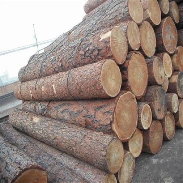 Hot sales eucalyptus timber round logs, Pin spruce oak logs / timber for sale