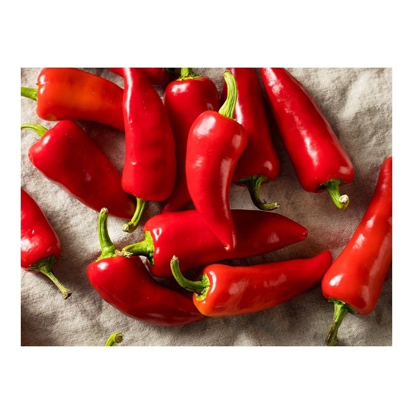 High Quality Supplier Low Price Hot Pepper Cayenne Pepper Red Chilli Dried Red Pepper For Chinese Food