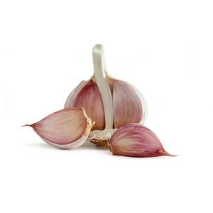 Top Quality IQF Frozen Fresh Peeled Garlic Cloves For Sale At Best Price