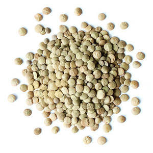 Wholesale Supplier Of Bulk Fresh Stock of Canadian Whole Green Lentils Dry Organic Green Lentils