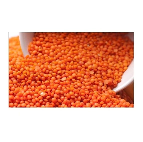 Canadian Green Lentils Red Lentils Wholesale Gift Mason Bulk