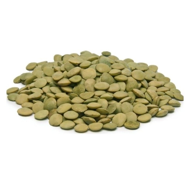 Top Quality Pure Canadian Whole Green Lentils Dry Organic Green Lentils For Sale At Cheapest Wholesale Price