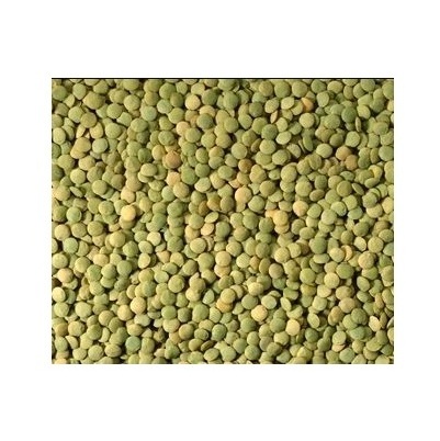 Wholesale Supplier Of Bulk Fresh Stock of Canadian Whole Green Lentils Dry Organic Green Lentils