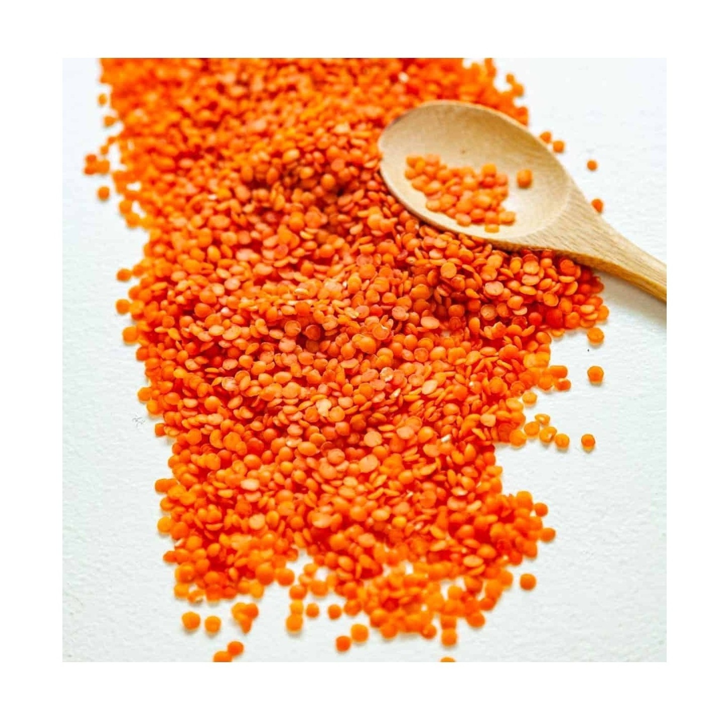 High Quality Organic Canadian Red Lentils / Split Red Lentils Available For Sale At Low Price