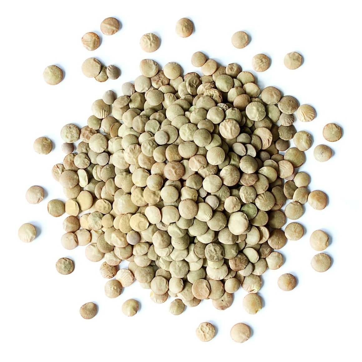 Top Quality Pure Canadian Whole Green Lentils Dry Organic Green Lentils For Sale At Cheapest Wholesale Price