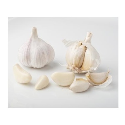 Bulk IQF Frozen Fresh Peeled Garlic Cloves