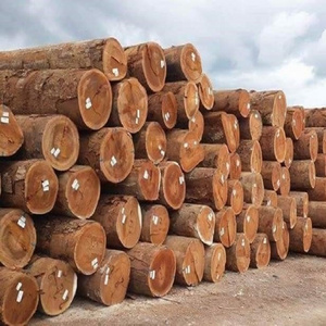 Hot sales eucalyptus timber round logs, Pin spruce oak logs / timber for sale