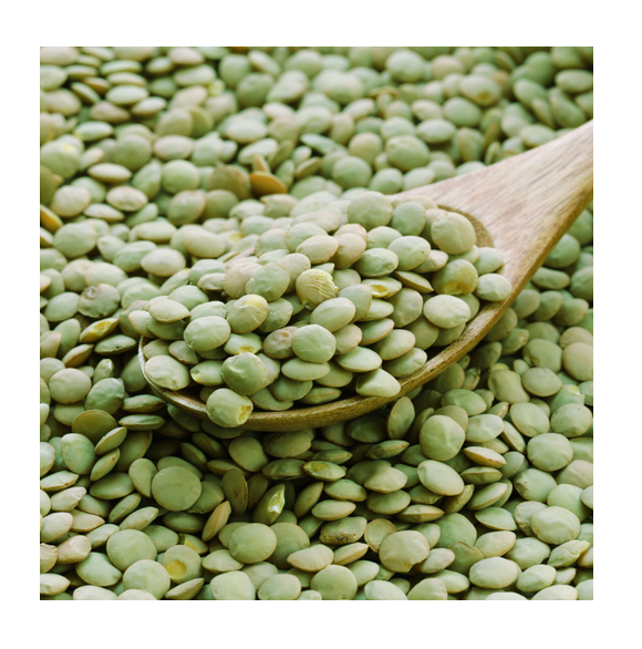 Hot Selling Price Of Canadian Whole Green Lentils Dry Organic Green Lentils In Bulk Quantity