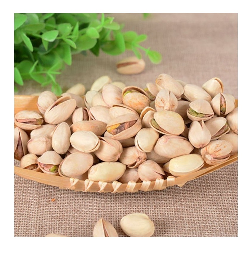 Worldwide Export 100% Organic Pistachio Pistachio Nuts