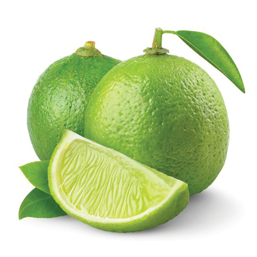 Best Price Fresh Fruits Green Limes Bulk Stock Available With Customized Packing