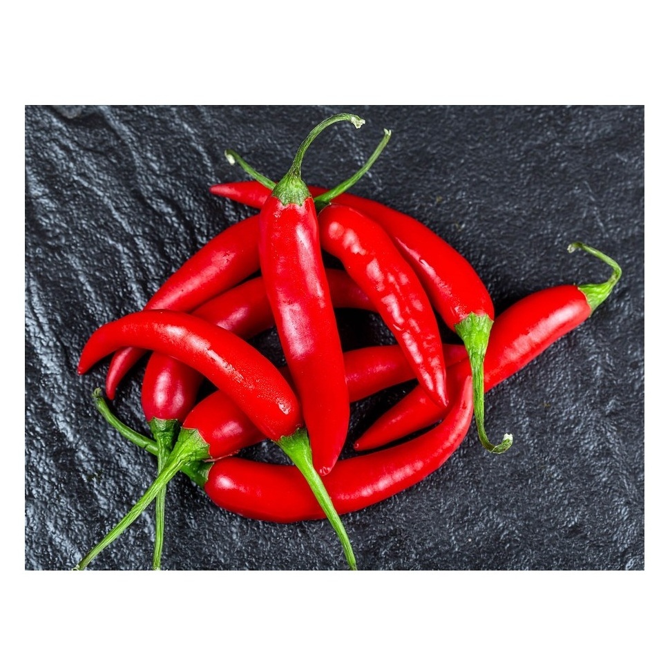 High Quality Supplier Low Price Hot Pepper Cayenne Pepper Red Chilli Dried Red Pepper For Chinese Food