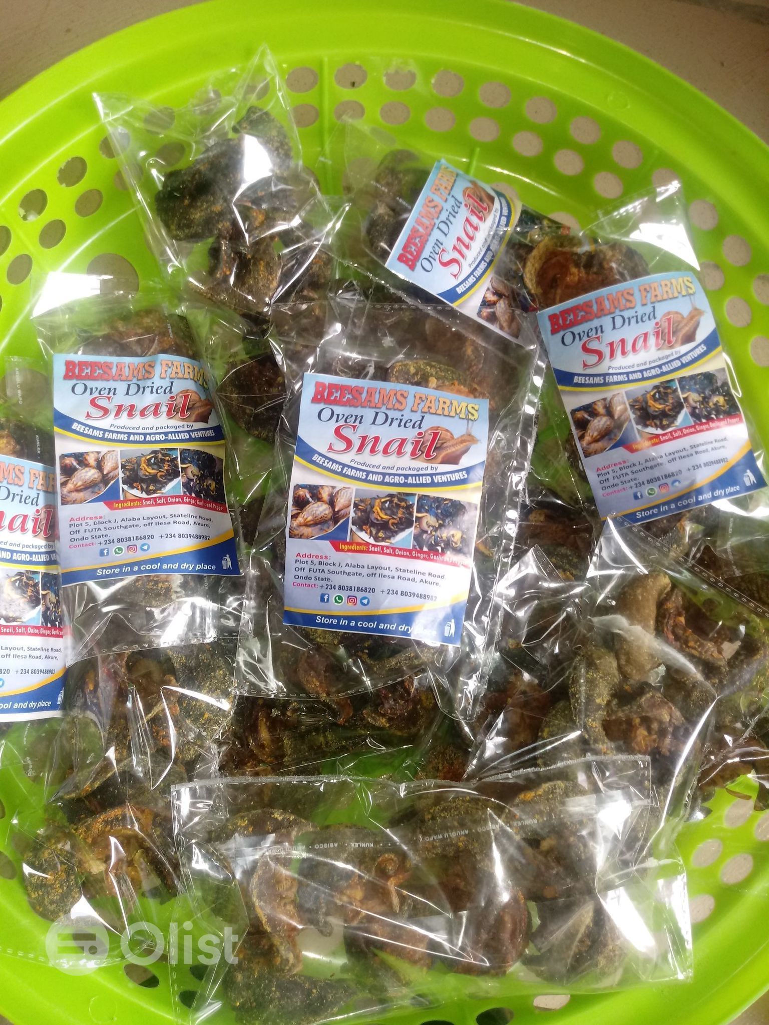 Fresh African Giant Snail/Dried snails exporters/Fresh sea snails