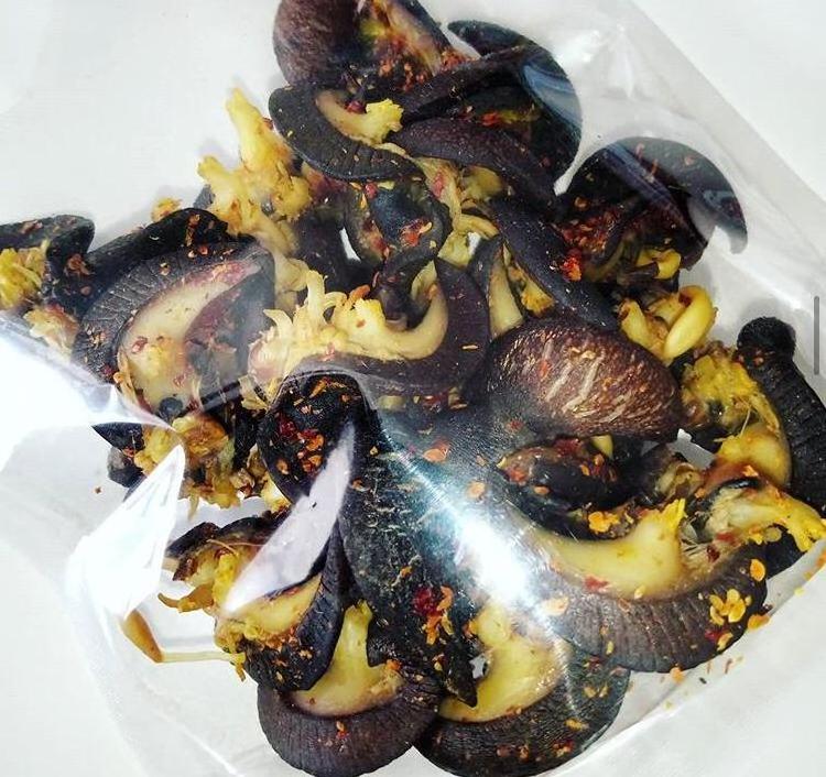 Fresh African Giant Snail/Dried snails exporters/Fresh sea snails