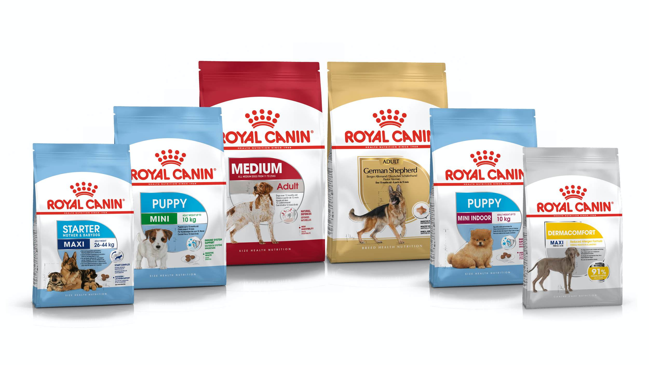 Best selling Royal Canin Medium Adult Dry Dog Buy Royal Canin Cat Food for wholesale