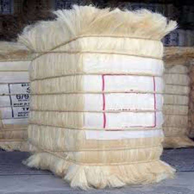 Coconut Fiber/Natural Palm Fiber/Sisal Fiber