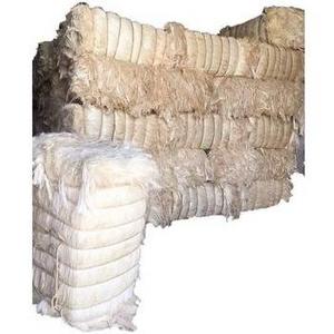 Coconut Fiber/Natural Palm Fiber/Sisal Fiber