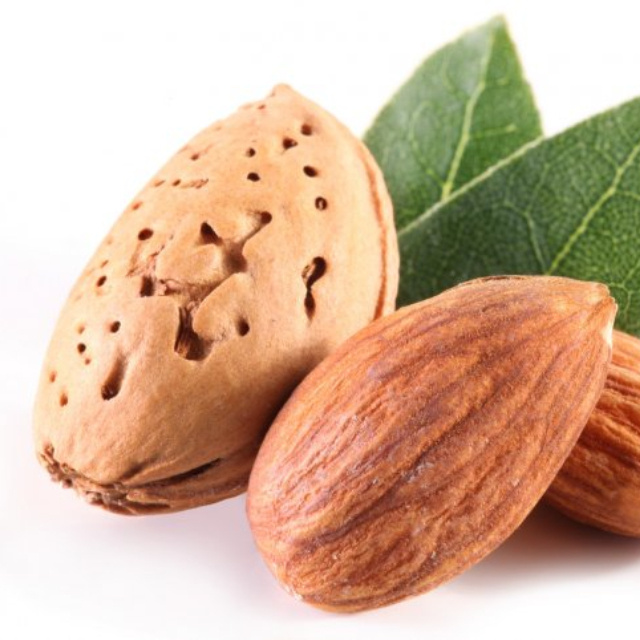 Organic Almond Nuts, Almond Nuts Suppliers & Almond Nuts.