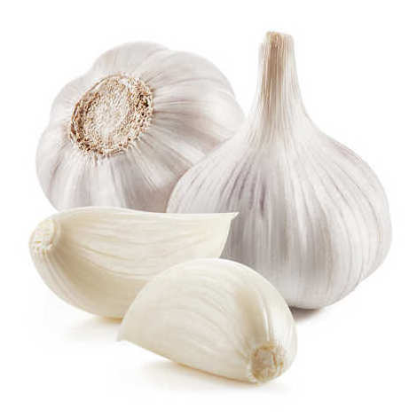 Fresh frozen garlic