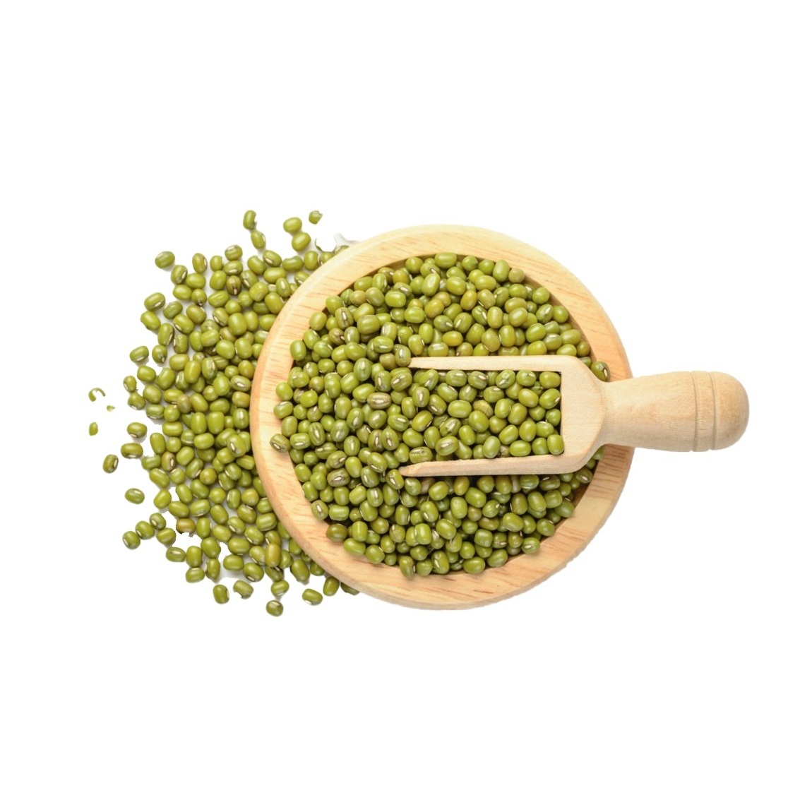 Fresh Stock of Green Mung Beans / Whole Moong Beans