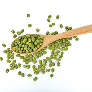 Fresh Stock of Green Mung Beans / Whole Moong Beans