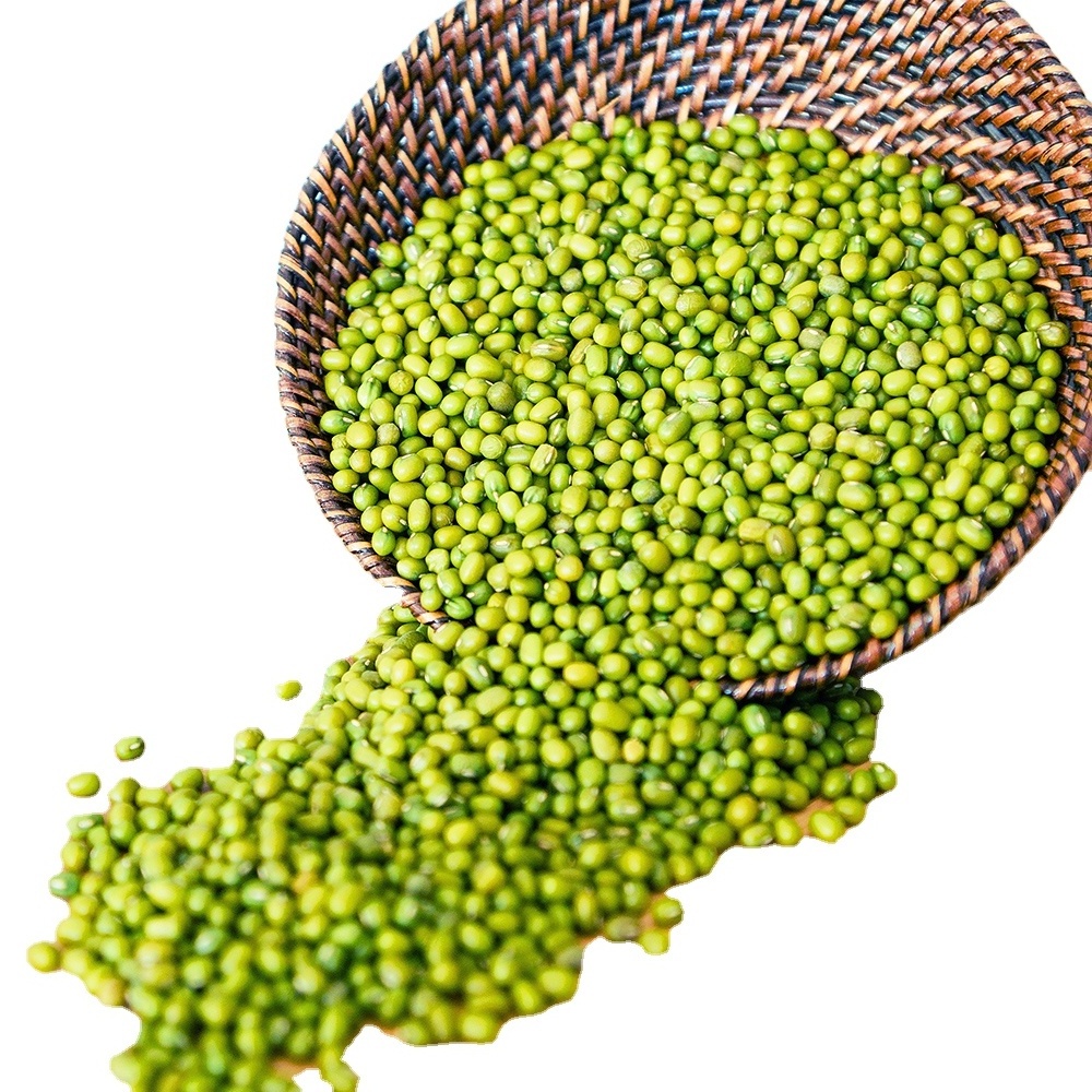 Fresh Stock of Green Mung Beans / Whole Moong Beans