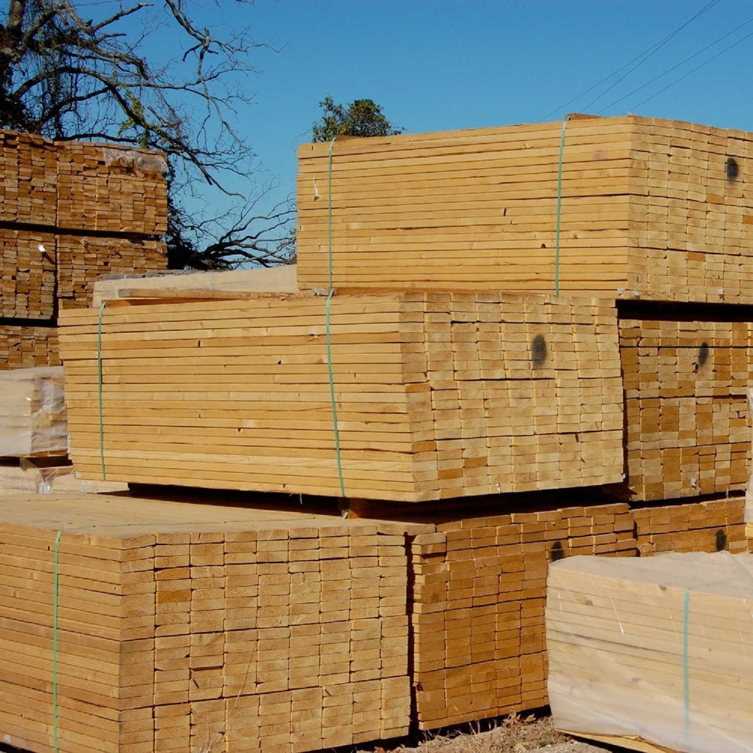 Good price buy paulownia wood board solid wood lumber sawn timber wood