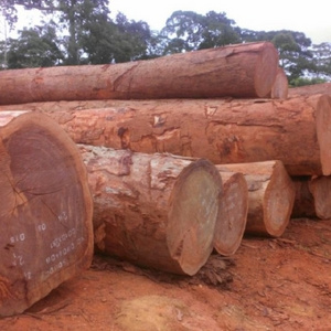 Beech Wood Logs and Lumber/Oak Wood Logs and Lumber/Ash Wood Logs and Lumber Spruce Wood Logs and Lumber