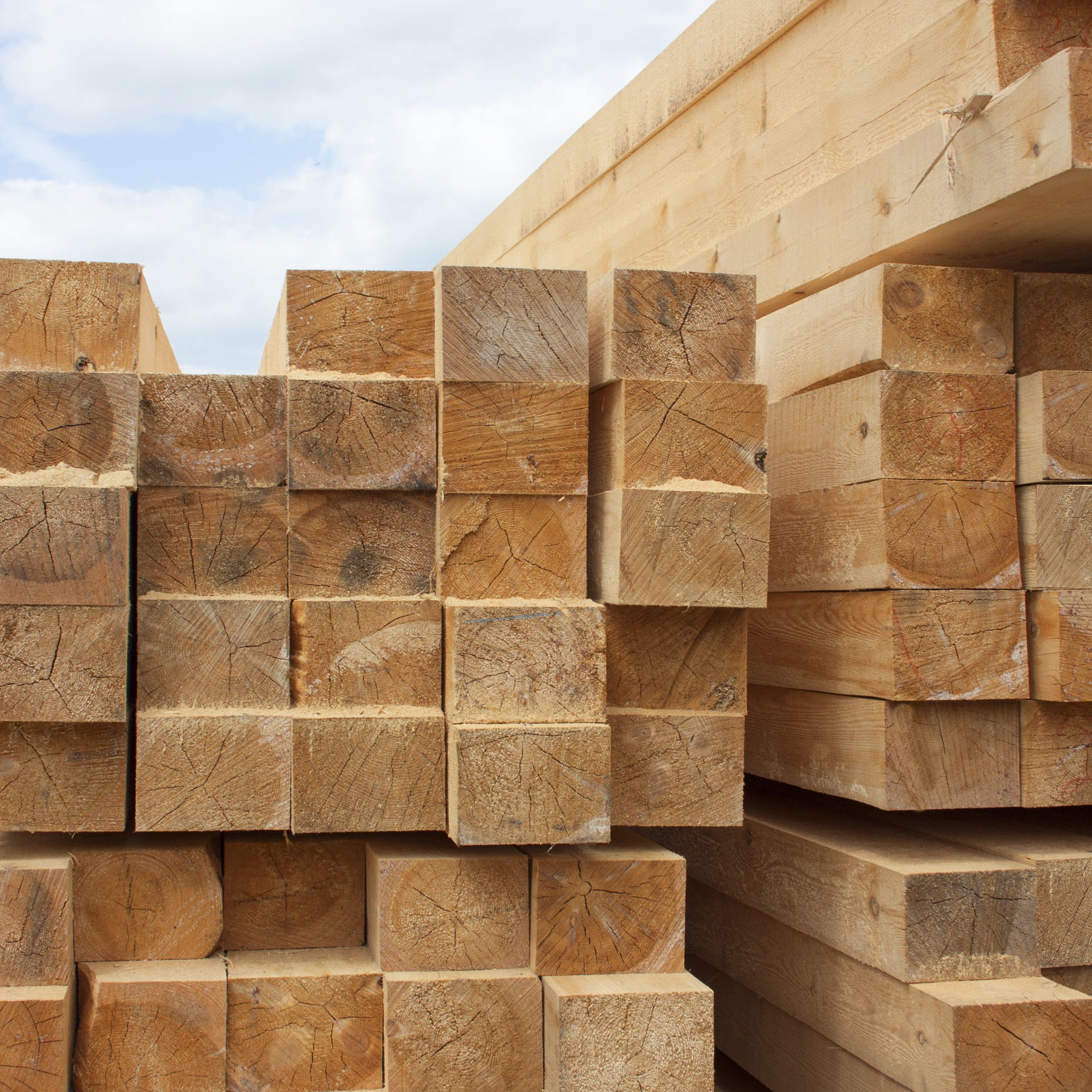 Excellent Suppliers Sawn Radiate Pine Wood Construction Timber Wood 4x4 5x10 Sale