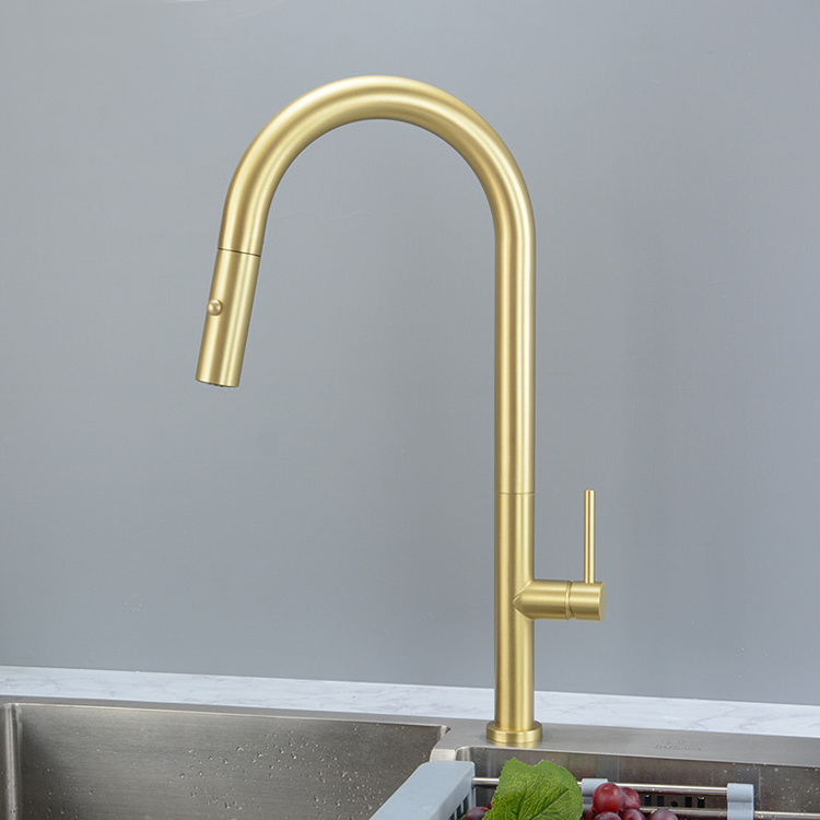 Brushed Gold Kitchen Sink Faucet with Pull Down Sprayer Kitchen Mixer Tap with Two Water Modes Sprayer High Arc Style