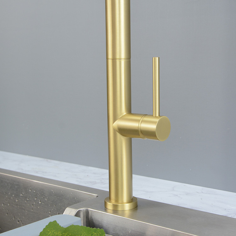 Brushed Gold Kitchen Sink Faucet with Pull Down Sprayer Kitchen Mixer Tap with Two Water Modes Sprayer High Arc Style