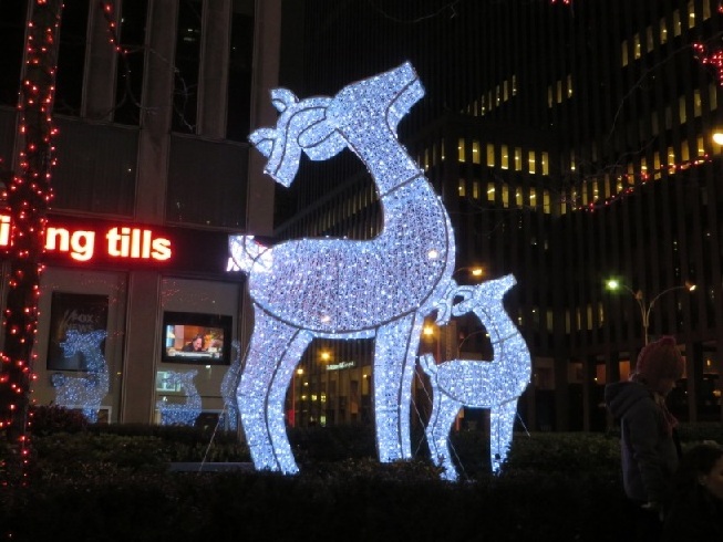 outdoor christmas displays led