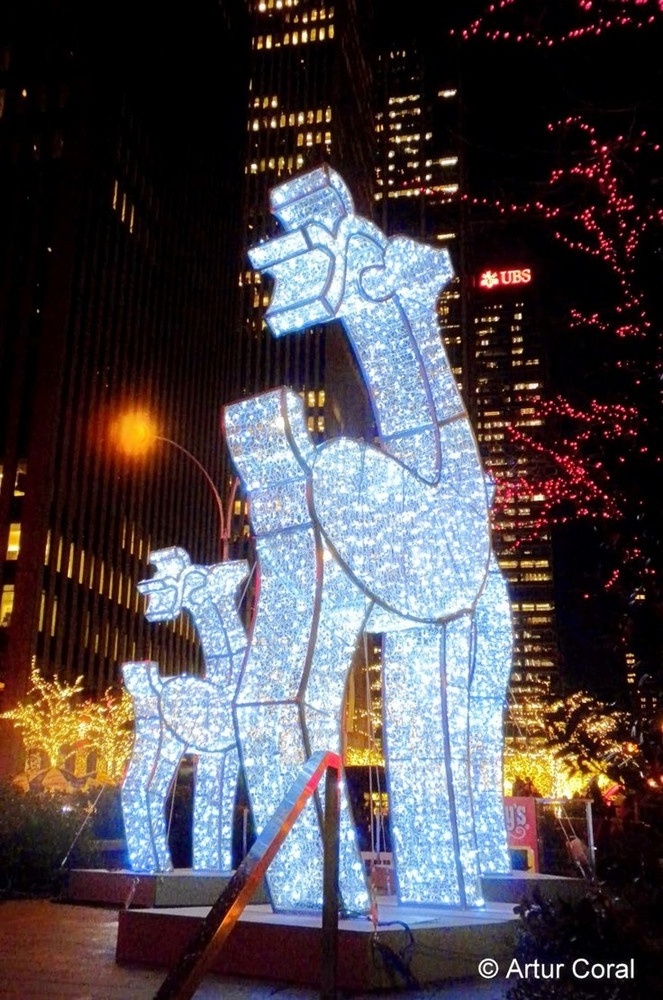 outdoor christmas displays led