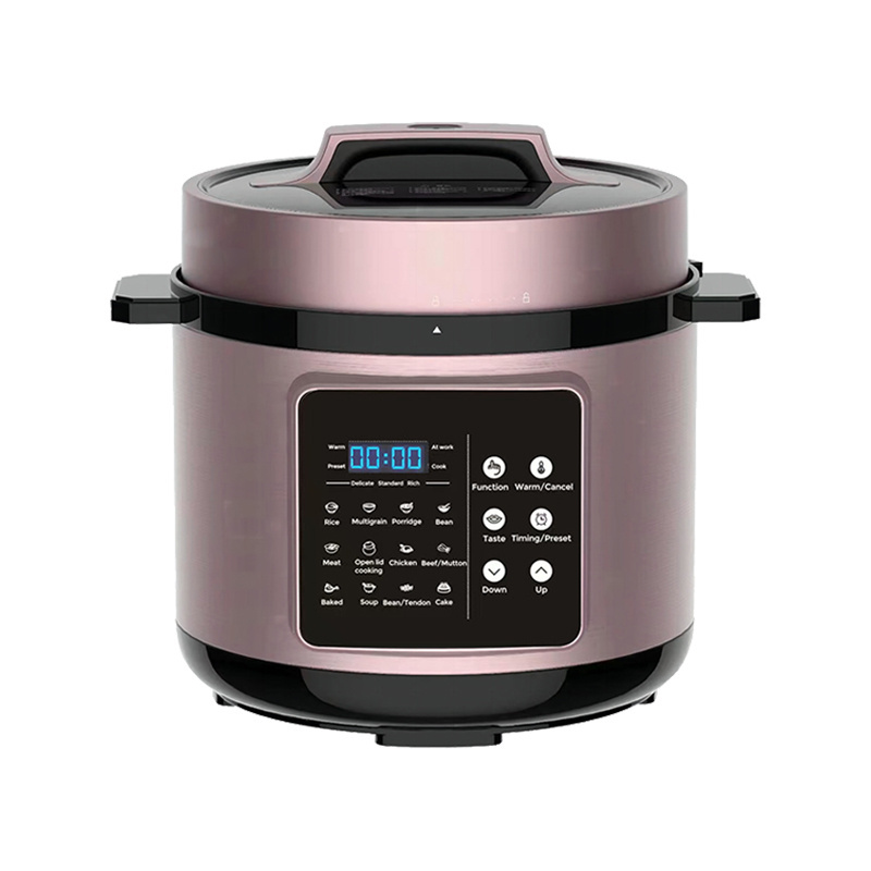 German Stainless Steel Multi Microcomputer Control 6Qt Electric Pressure Cooker 6L With Rice Spoon